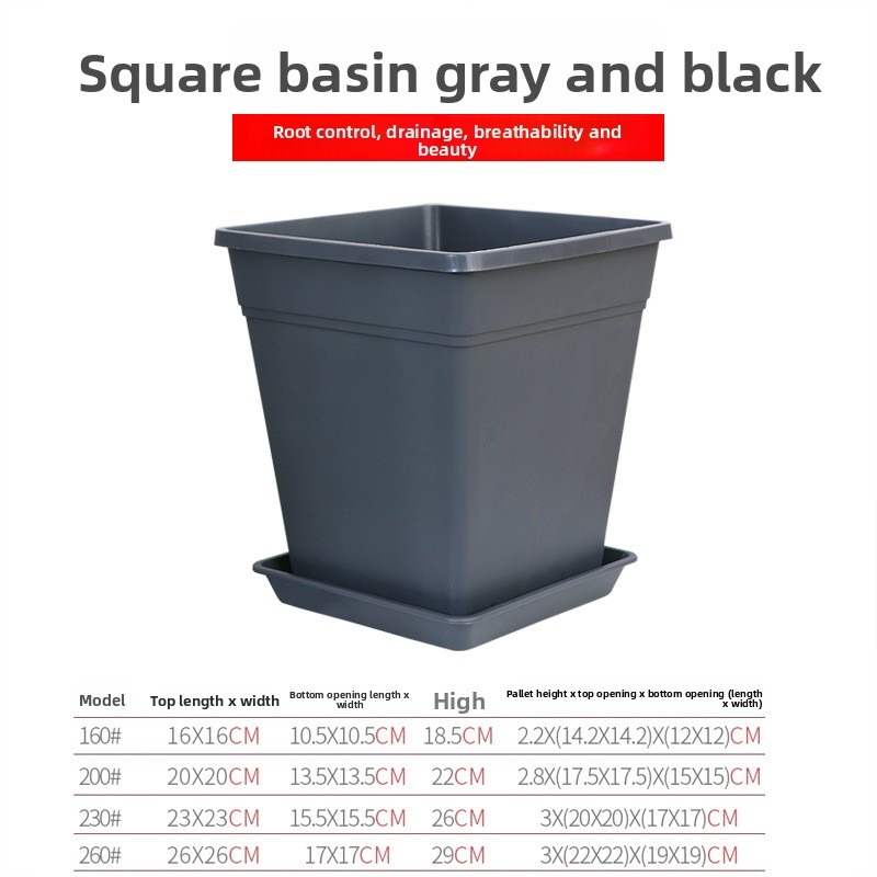Black and gray