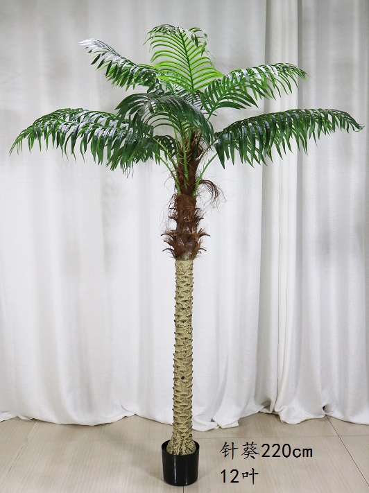 #3-210cm