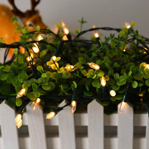 Christmas Decorative M5 Commercial Outdoor LED <strong>String</strong> <strong>Light</strong> <strong>Multi</strong> <strong>Color</strong> Green Wire Mini LED Xmas M5 <strong>String</strong> <strong>Lights</strong> - Product Image 6