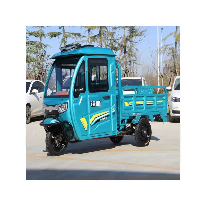 3 wheeled electric freight car carriage large capacity cargo tricycle