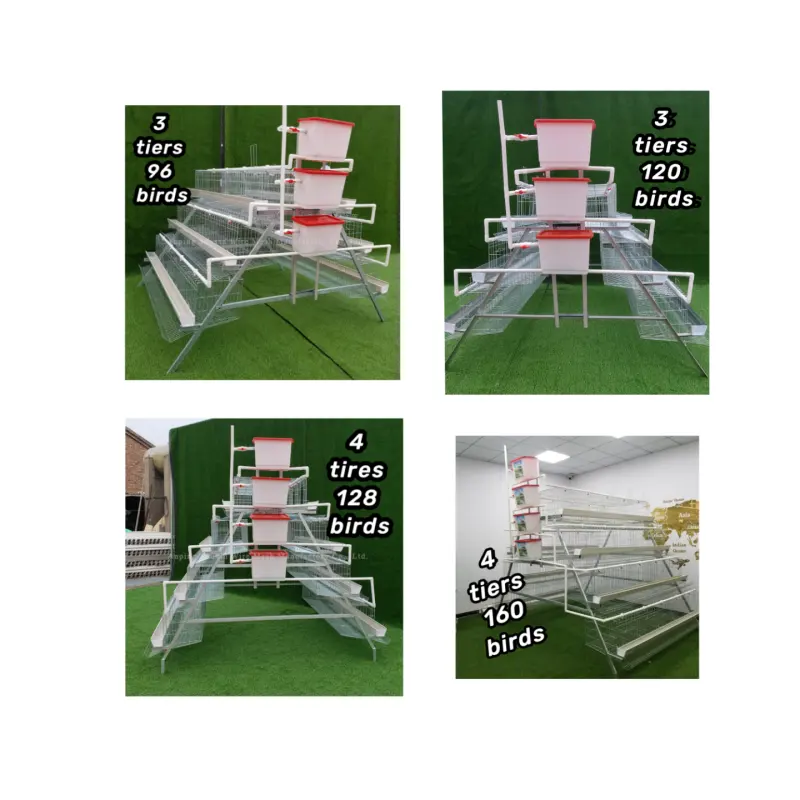 Good price Feeding/Drinking/Egg Collecting Battery Poultry Farm Layer Chicken Cage for Chicken Coop