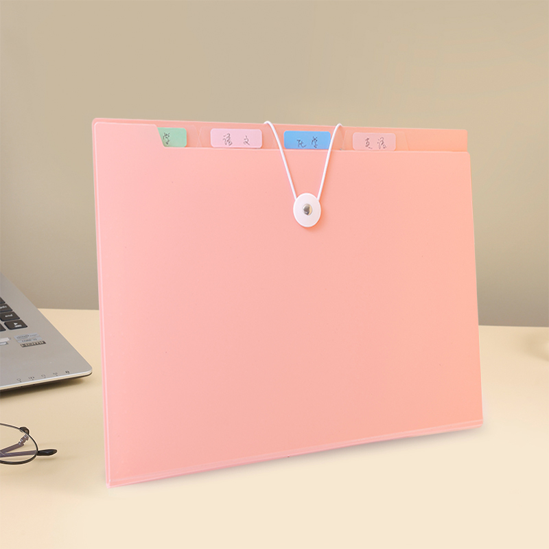 pink-12-pocket accordion bag
