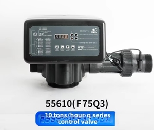 Runxin F75Q1 F75Q3 10 tonnellate/ora automatico manuale addolcitore dell'acqua valvola di controllo per 10T macchine per il trattamento delle acque - Product Image 4