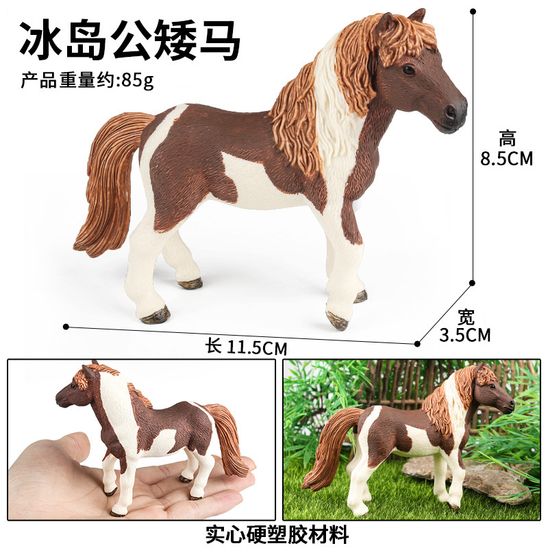 Pony islandese maschio M4109 colorato