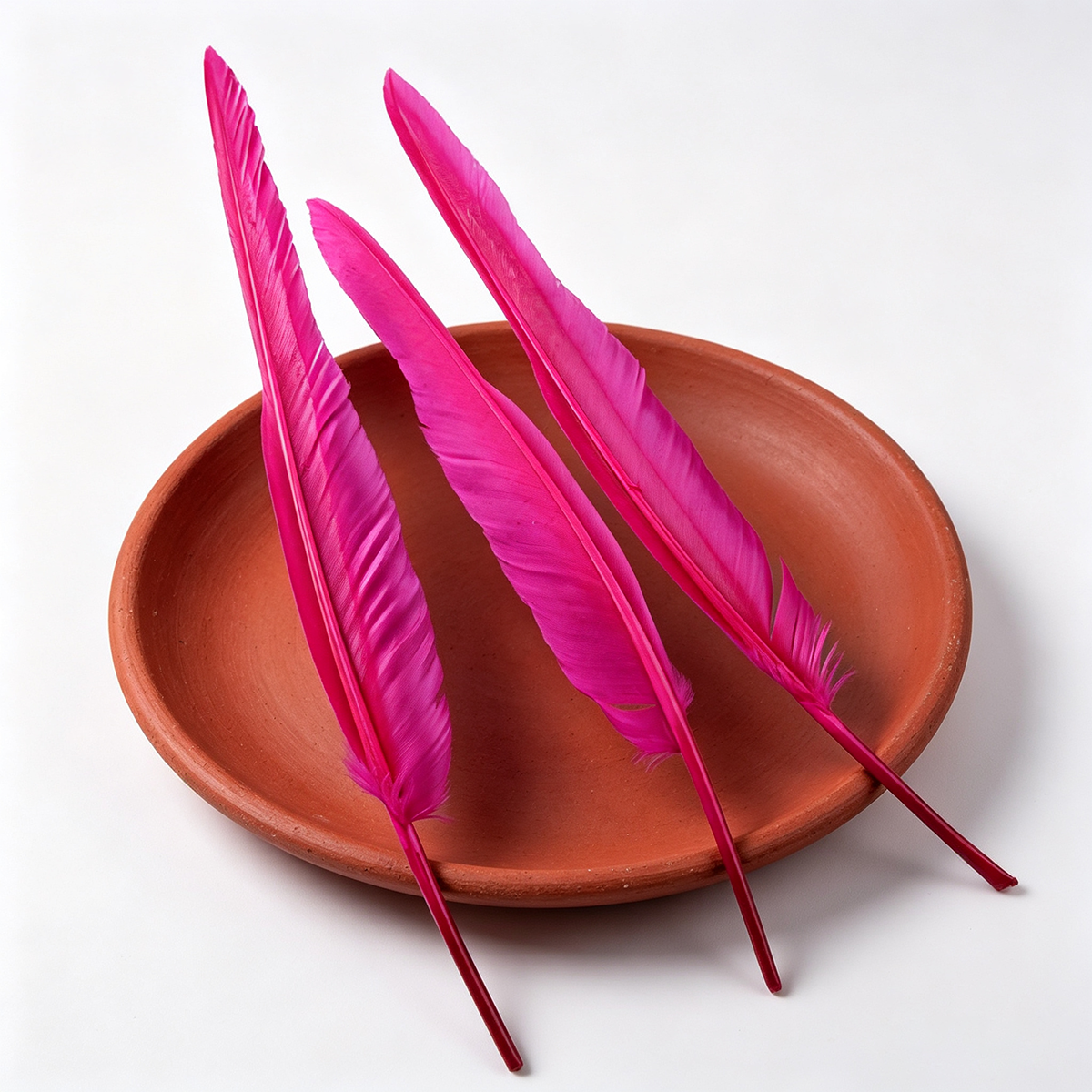 Fucsia