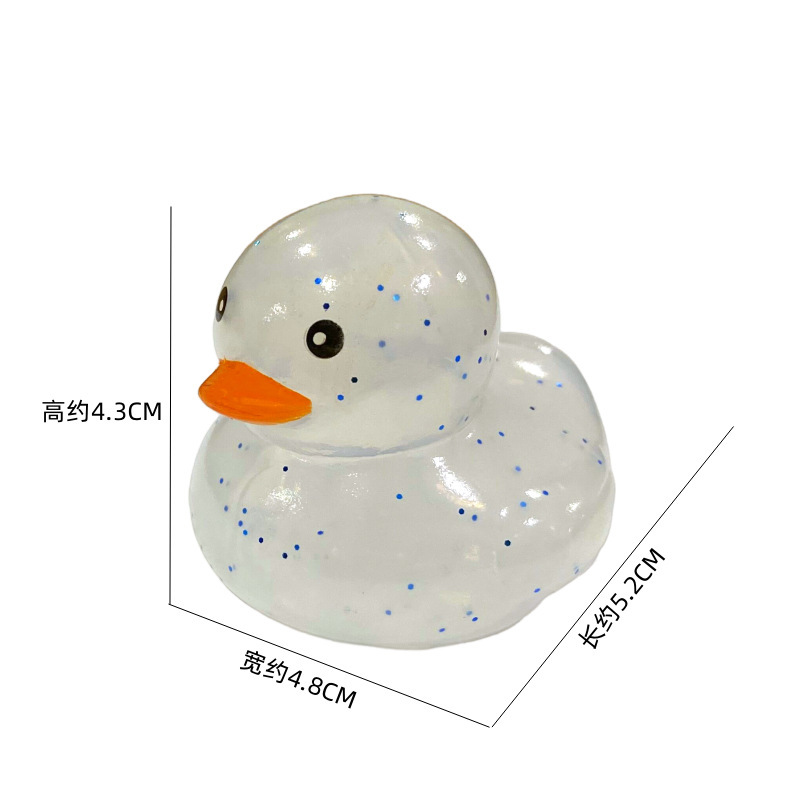 Transparent no 8 duck-one piece