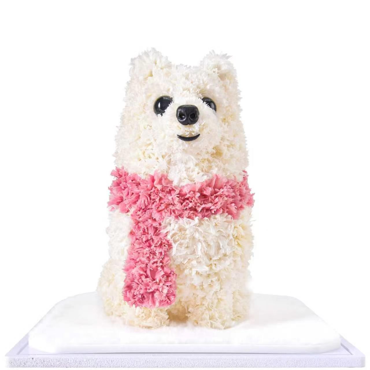 chiot blanc