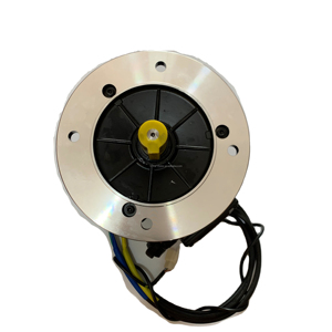 Motor Bldc sin escobillas de 1KW/2KW/3KW 24VDC/48VDC/72VDC 3000RPM con ajuste de velocidad PWM, Sensor Hall, freno, Motor de barco, ventilador de rotación, uso - Product Image 4
