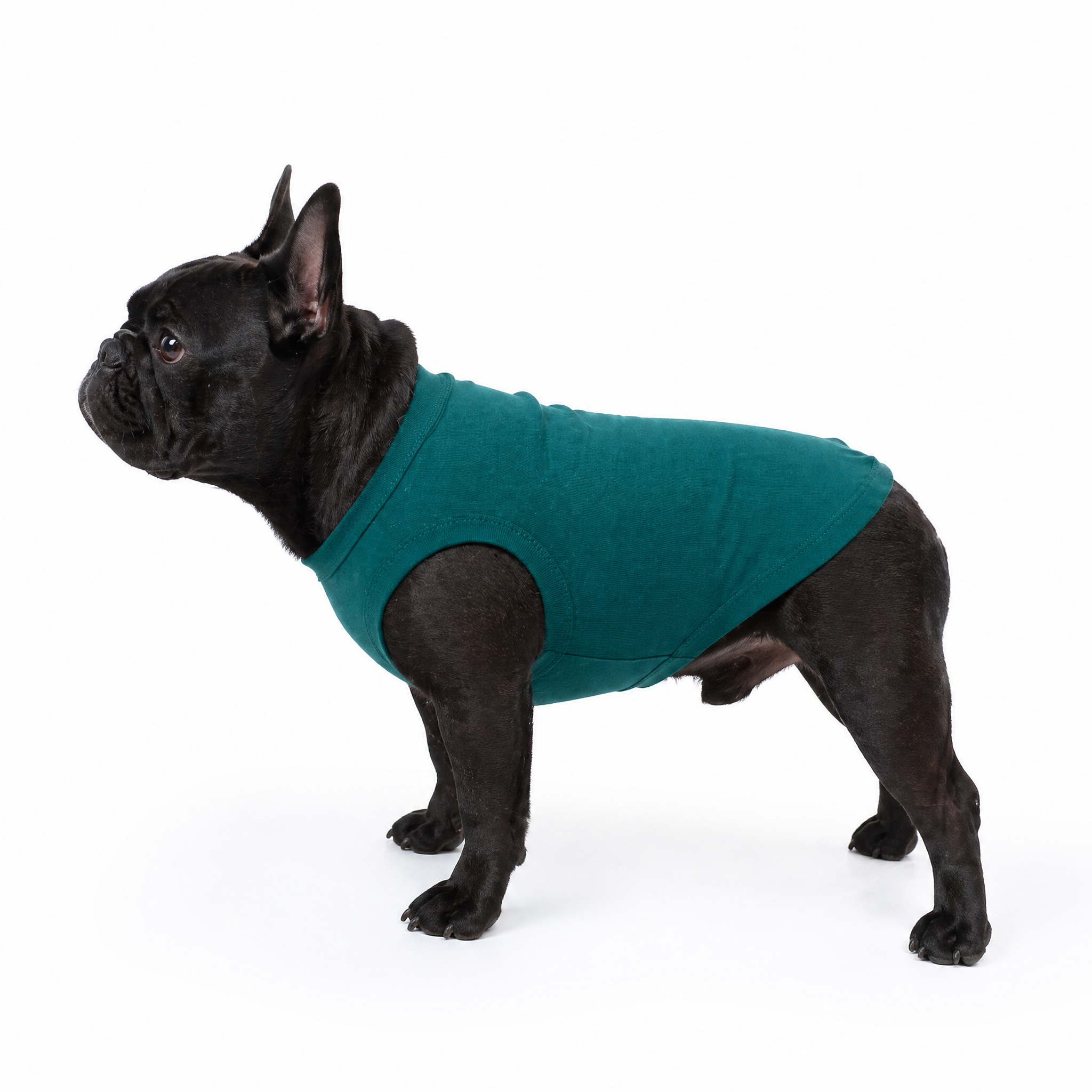 Dark green