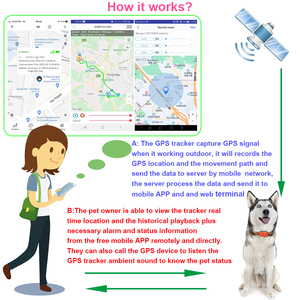 อุปกรณ์ติดตาม GPS สัตว์เลี้ยงกันน้ำ4G LTE เรียลไทม์สุนัขแมวสัตว์อุปกรณ์ติดตาม GPS พร้อมแอปมือถือฟรี