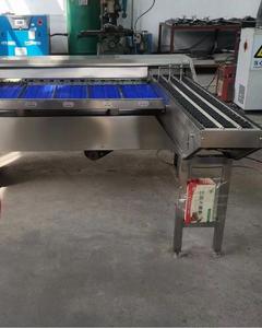 高效鸡蛋分选机鸡蛋大小重量分选机分类自动小型分级机分类 - Product Image 5