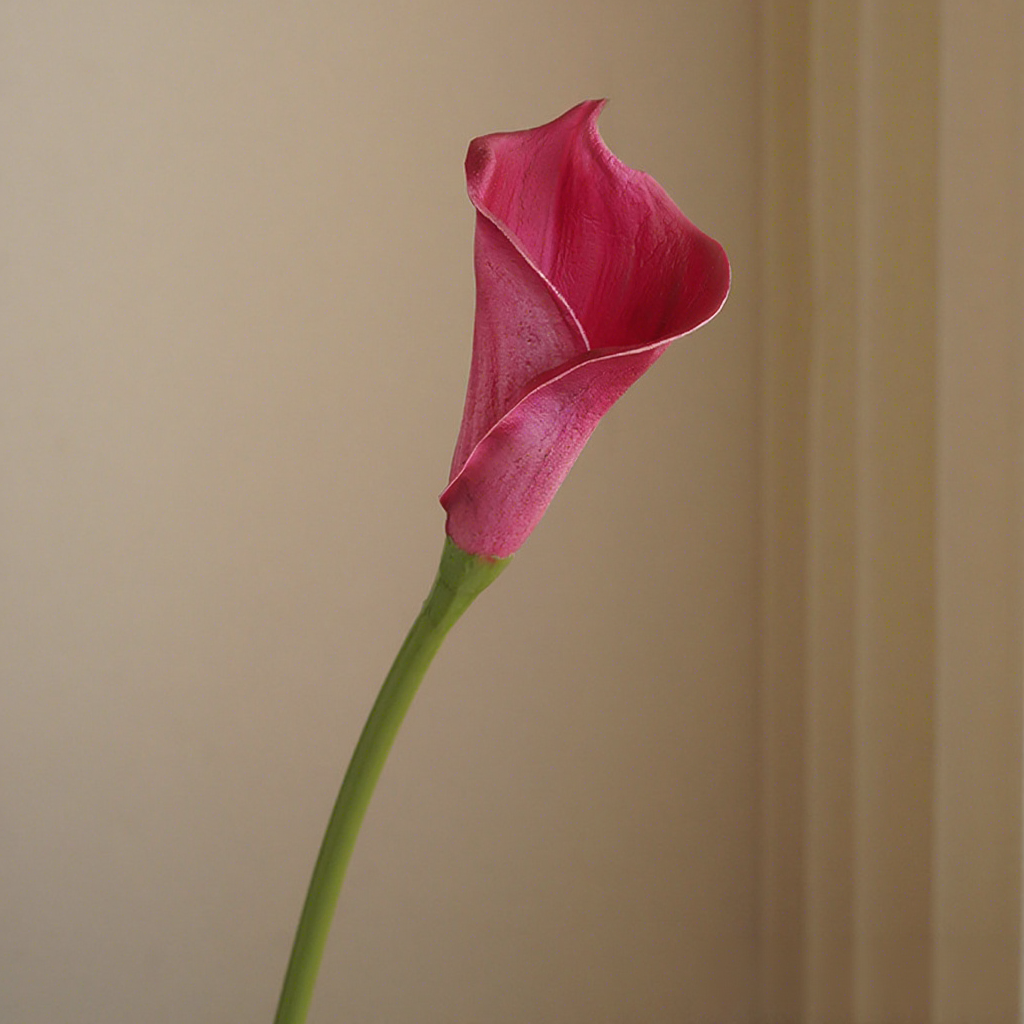 Rojo púrpura