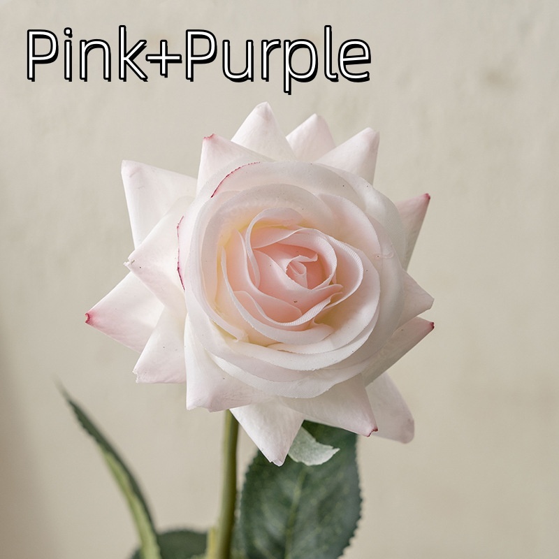Rosa + púrpura