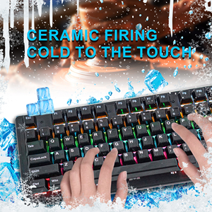 Source Factory Latest Private Model High-end Series Ceramic Keycap <strong>Keyboard</strong> 4 in 1 Gaming <strong>Keyboard</strong> - Product Image 5