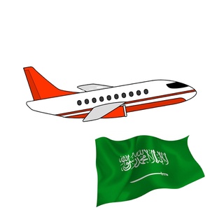Çin'den suudi arabistan'a KSA nakliye acentesi hava DDP kapıdan kapıya lojistik hizmetleri sağlayıcı nakliye acentesi suudi arabistan'a - Product Image 1