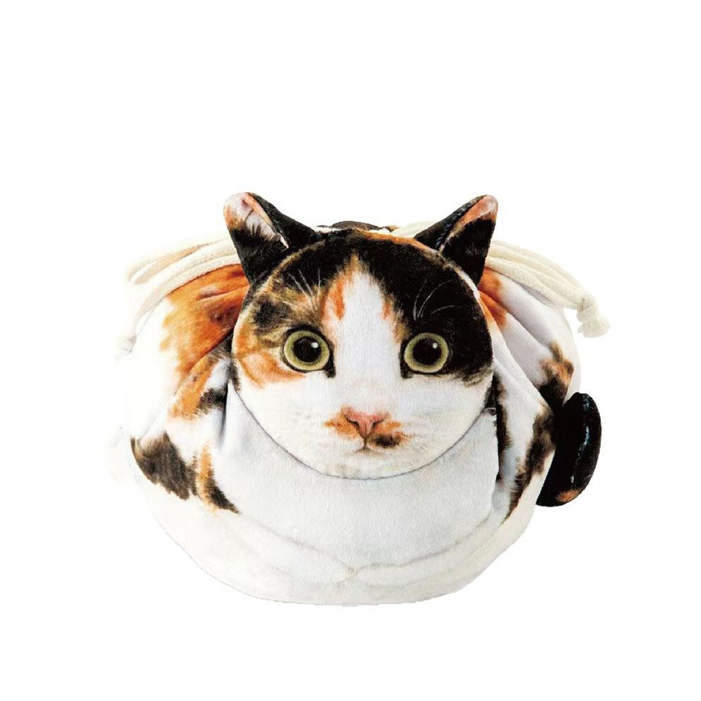Chat tricolore