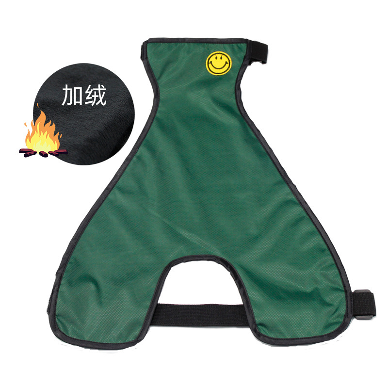 Vert (chien mâle)