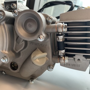 daytona FSM Kick Start 190cc 4 Valve <strong>Engine</strong> Pit Bike <strong>Engine</strong> daytona anima 190 <strong>Engine</strong> for Sample - Product Image 4