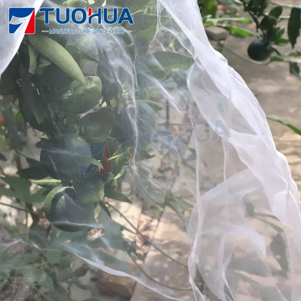 Chất lượng tốt nhất chống côn trùng lưới các nhà sản xuất cung cấp cho vườn ươm trái cây Fly Lưới nhựa cây ăn quả bao gồm chống rệp Net