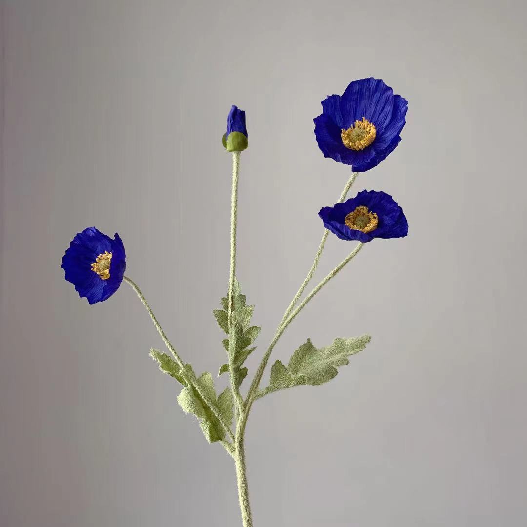 Bleu foncé