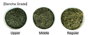 Japon kaliteli organik yeşil sencha çay toptan - Product Image 5
