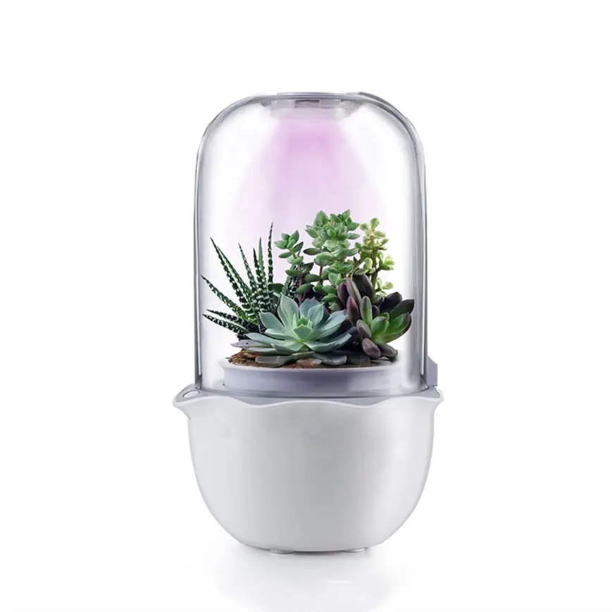Mini Pot intelligent de jardin pour plantes succulentes d'intérieur, avec éclairage LED, vente en gros, 2022