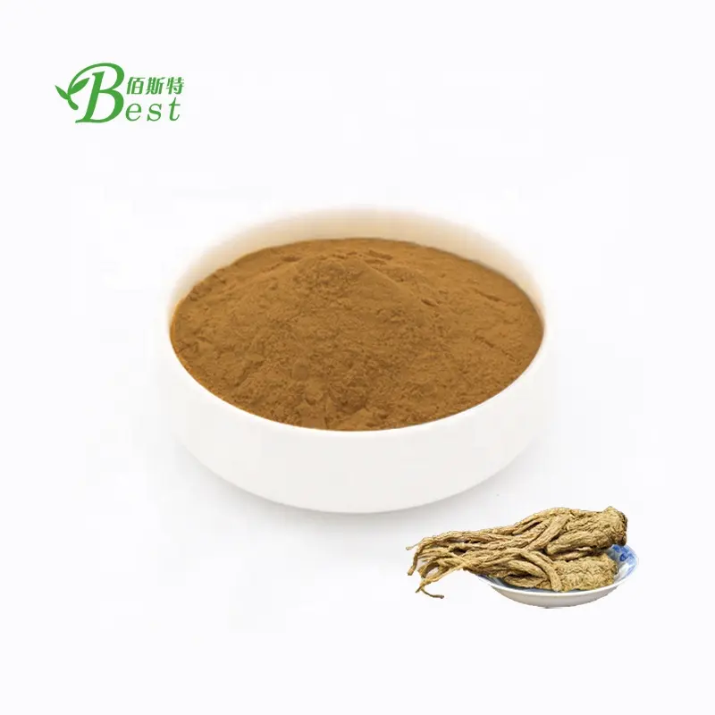 Angelica Extract/Angelica Extract Powder Sinensis Extract Dong Quai