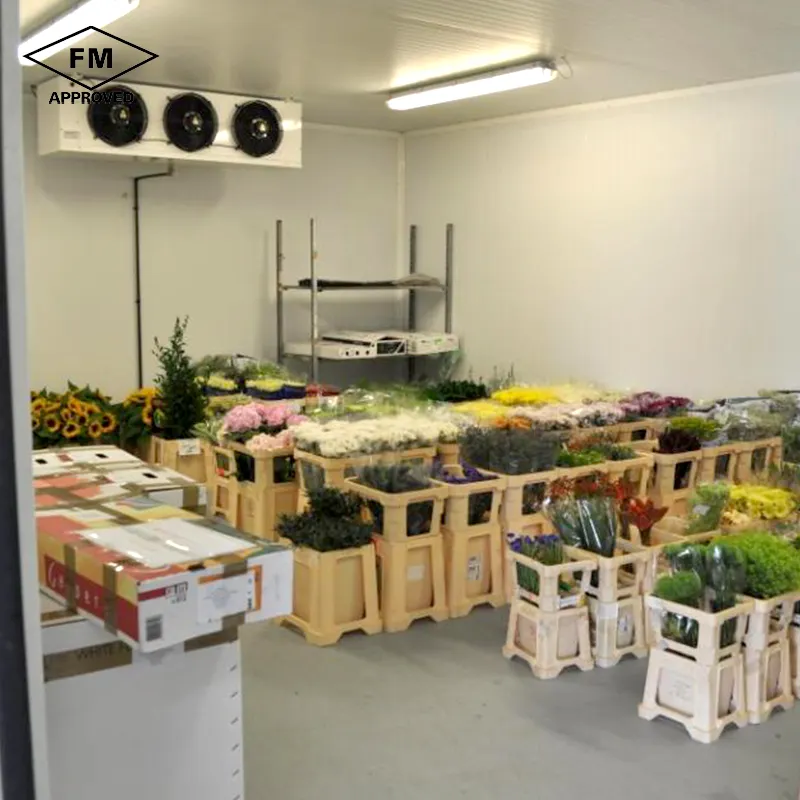 Mini espace froid industriel mobile pour fruits et légumes, de taille durable, vente en gros, haute qualité