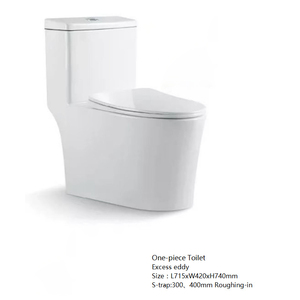 2025壁式智能马桶坐浴盆P陷阱WC智能自动智能马桶内置冲水 - Product Image 5
