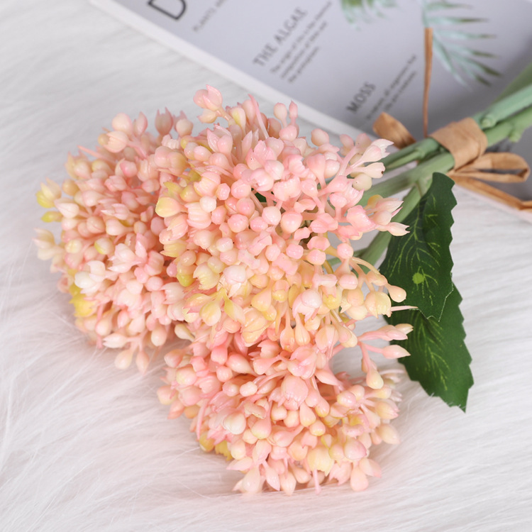 Wind letter fruit pink