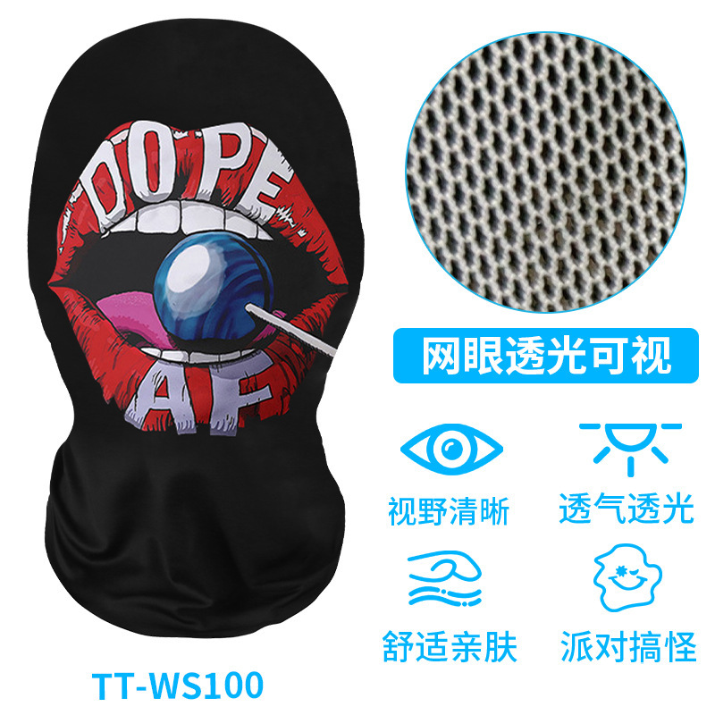 TT-WS0100