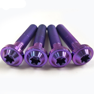 M6 * 20 titanyum cıvata yarış motosiklet Torx titanyum vida Grade5 için stokta - Product Image 6