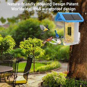 Hot Selling AI 1080P Smart Watching <strong>Bird</strong> Feeder Camera Camera Auto Capture <strong>Bird</strong> Videos Notify When <strong>Birds</strong> Detected