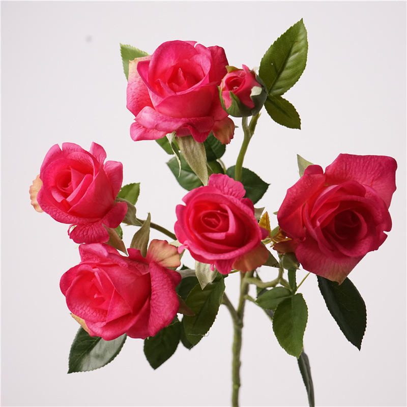 Siente la Barbie de múltiples cabezas rosa-rosa roja
