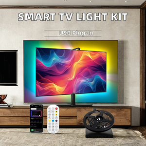Müzik senkronizasyonu renk değiştiren LED arka ışık ve ışık şeridi uzaktan kumanda DC5V 5V girişi ile USB TV ışık kiti - Product Image 2