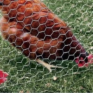 Foglio di schermo esagonale personalizzato in rete metallica per recinzione di pollo - Product Image 3