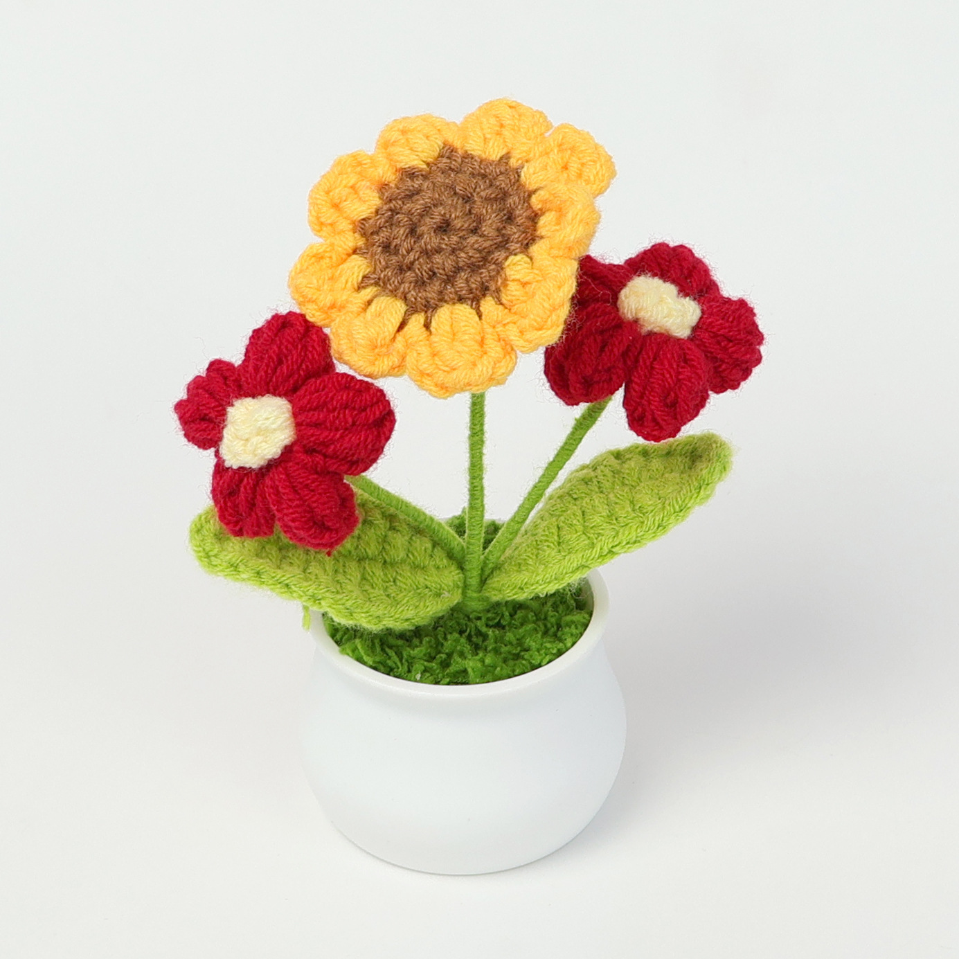 Small red double-puff sunflower-potted plant