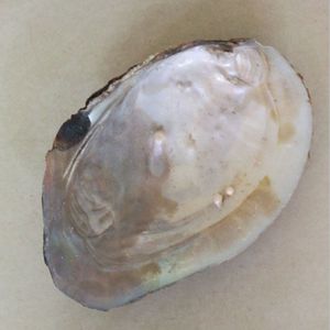 Grandi conchiglia di conchiglia di perle d'acqua dolce naturale per gioielli fai da te creazione artigianale madreperla conchiglia - Product Image 4