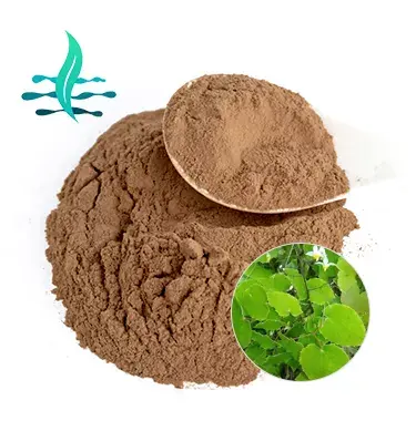 أفضل سعر خلاصة عشبة العنزة icariin 50% 80% CAS 489-32-7