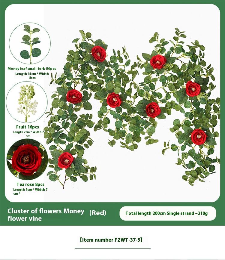 Cluster of flowers Moneyflower vine