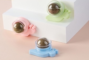 Encantadora tortuga Caracol diseño interactivo pared bola gato juguete seguro para gatos con hierba gatera sostenible menta lechón - Product Image 3