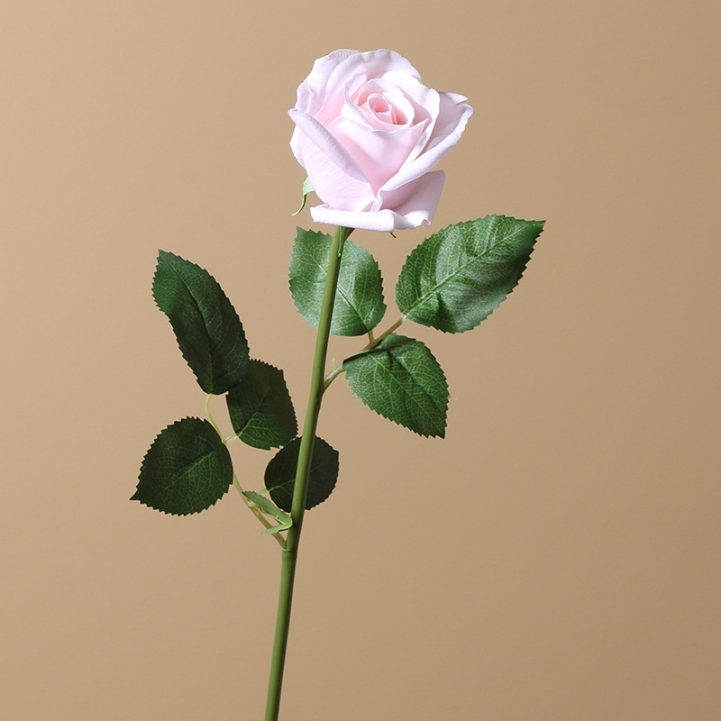Rosa claro