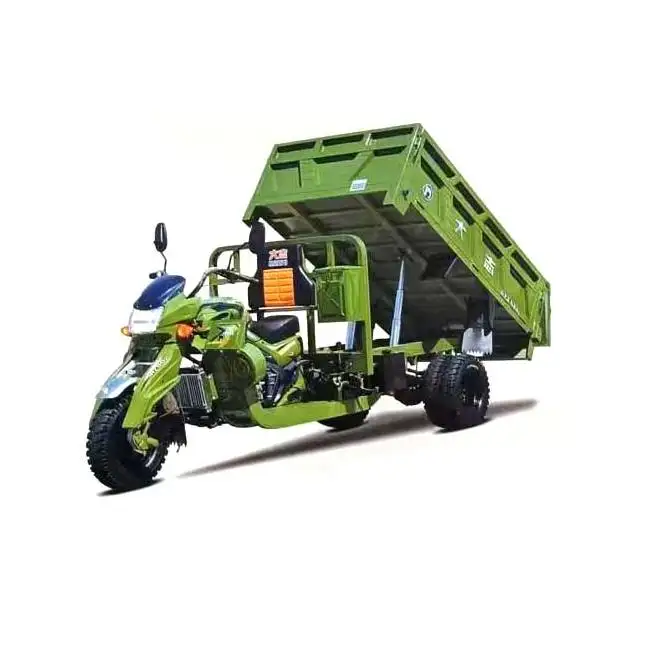 Ổ đĩa động cơ 200cc gas Powered ba bánh xe kéo loader