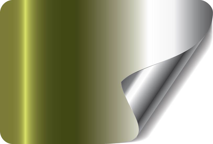 Brown / Silver
