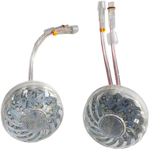 IP66 Auto-programmazione 1-16 E14 AC24V RGB LED luce Cabochon 60MM Auto divertente lampada da divertimento bianco parchi a tema - Product Image 5
