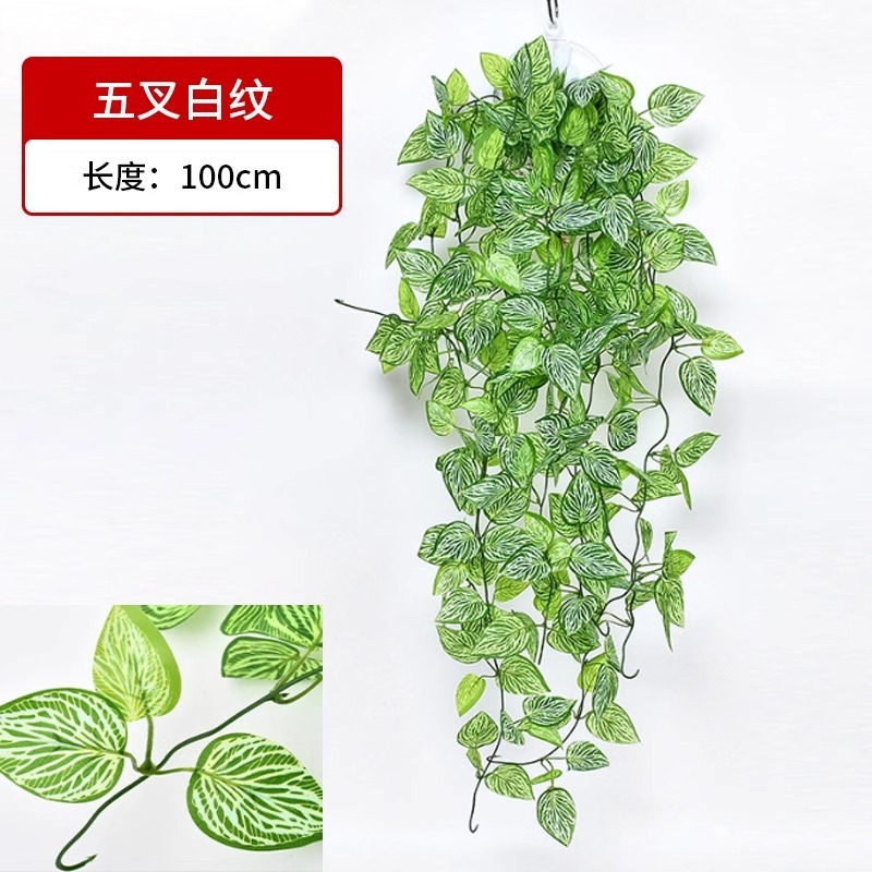 Colgante de pared de cinco puntas con hojas veteadas de blanco.