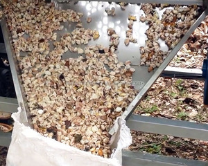 Cortador de elevación de vainas de cacao fresco de alto rendimiento, máquina separadora de eliminación de cáscara de granos de cacao para uso agrícola - Product Image 6