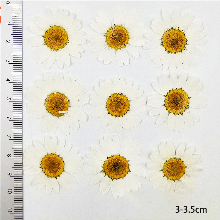3-3.5cm
