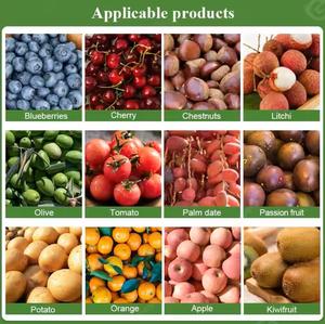 Macchina di smistamento frutta e verdura per smistamento di frutta prezzo - Product Image 6