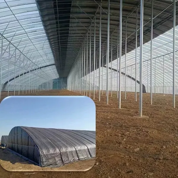 Invernadero de invierno agricultura película de plástico comercial o invernadero de policarbonato solar con edredón de aislamiento